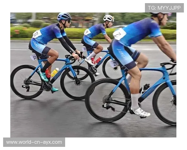 欧洲自行车赛环法拉松赛，骑手们挑战极限，欧洲自行车协会